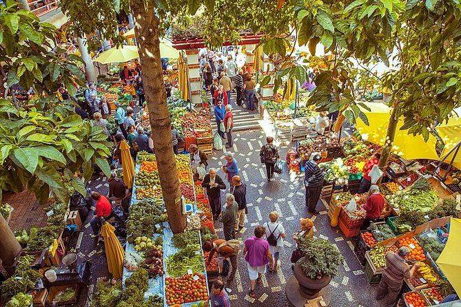 2-Hour Funchal City & Madeira Wine Experience - A useful first look at Funchal in three hours