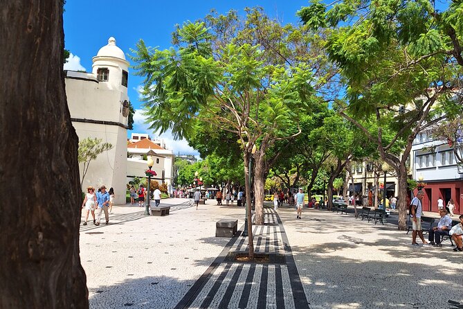 2-Hour Funchal City & Madeira Wine Experience - What the small-group size changes