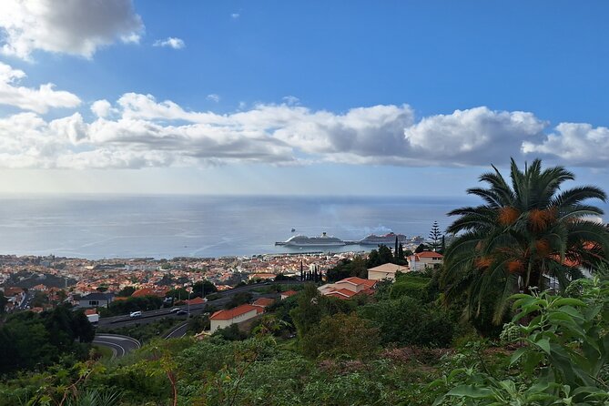 2-Hour Funchal City & Madeira Wine Experience - Timing, meeting point, and practical details