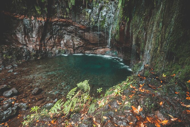 25 Fountains Levada: Hiking Tour in Madeira Rabaçal Valley (PR6) - Guides who make the difference