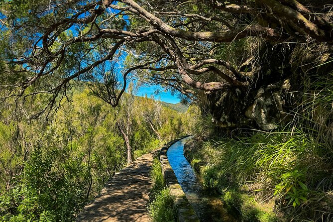 25 Fountains Levada: Hiking Tour in Madeira Rabaçal Valley (PR6) - Group size and who should book