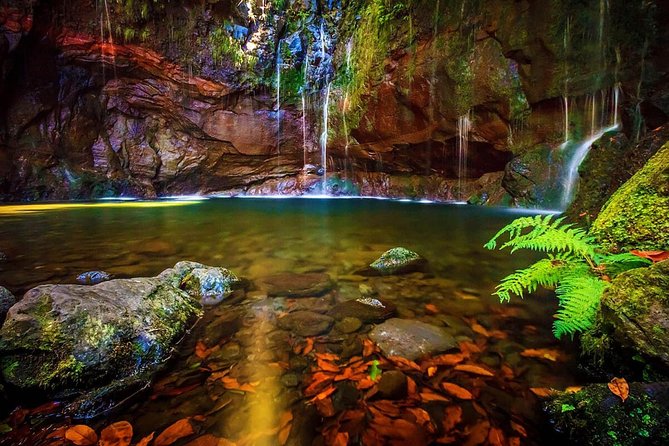 "25 Fountains" Walk / Lost In The Beautiful Forest - Key points to know before you book