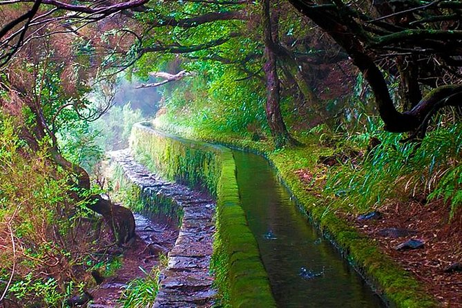 "25 Fountains" Walk / Lost In The Beautiful Forest - What the 25 Fontes walk is really like