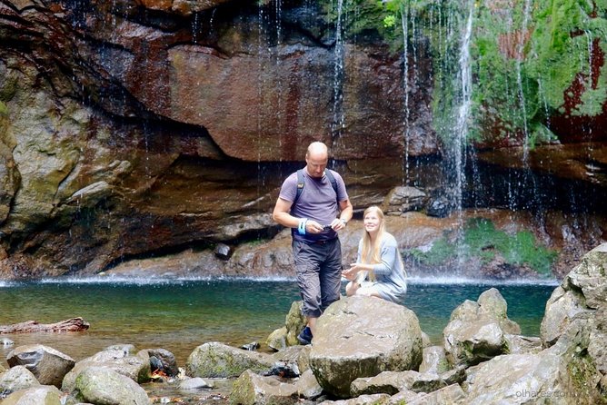 "25 Fountains" Walk / Lost In The Beautiful Forest - Steps, uphill walking, and the return to the car park