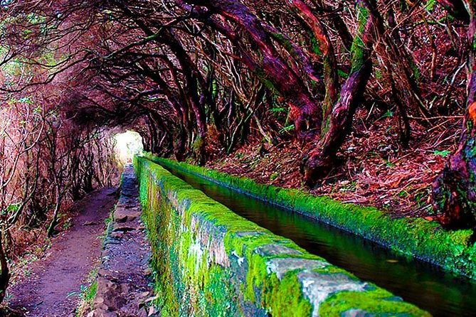 "25 Fountains" Walk / Lost In The Beautiful Forest - Guides, group size, and the quality of the day
