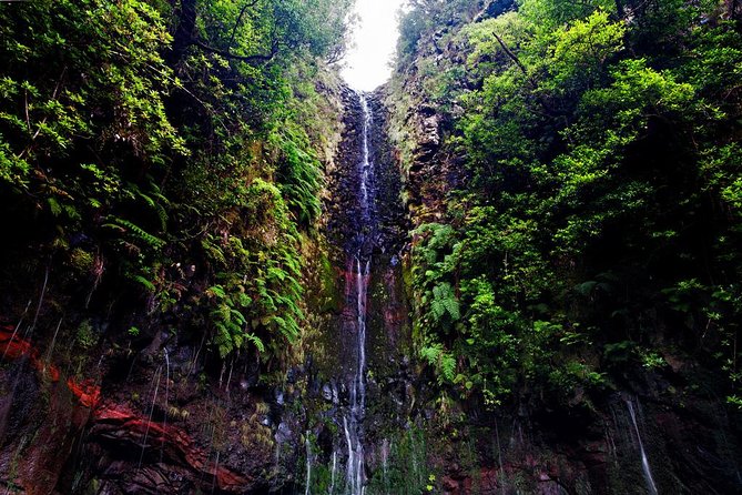 "25 Fountains" Walk / Lost In The Beautiful Forest - Who will enjoy this Madeira levada walk?