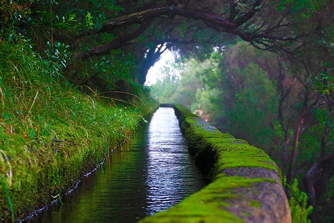 "25 Fountains" Walk / Lost In The Beautiful Forest - From Paul da Serra to Risco Waterfall