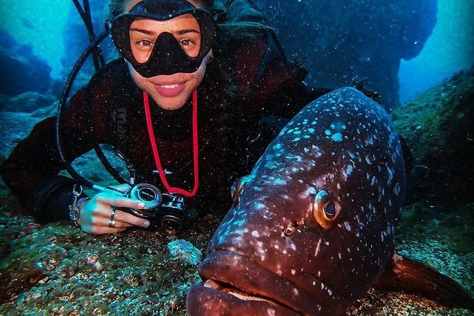 3 days Open Water Course | Scuba Diving - Pool training at the Hotel Penha França Mar