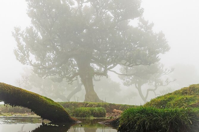 4x4 Jeep Tour to the West & Northwest of Madeira - Porto Moniz brings the day’s longest pause