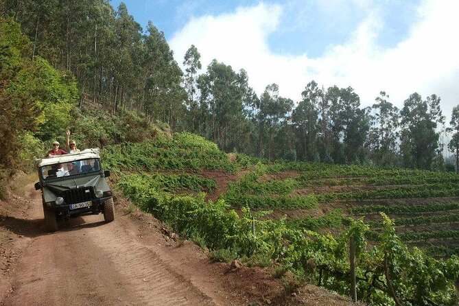 4x4 Safari Half day Poncha, Mountains, Vineyards and Cabo Girão Small group - Leaving Funchal for Câmara de Lobos