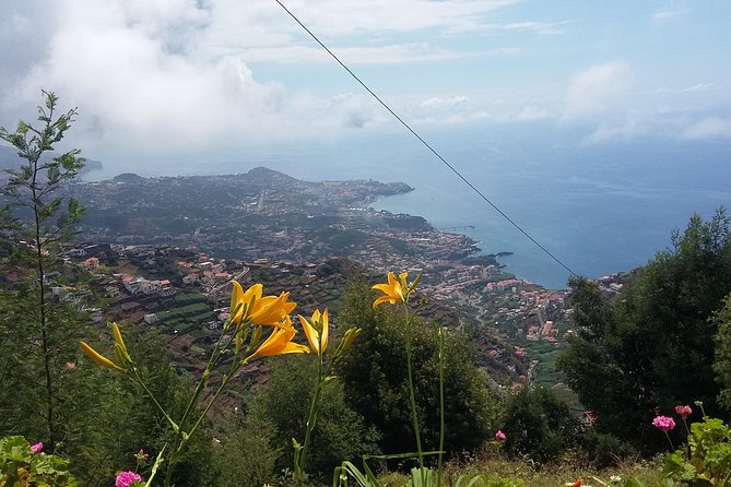 4x4 Safari Half day Poncha, Mountains, Vineyards and Cabo Girão Small group - What $60.34 buys you