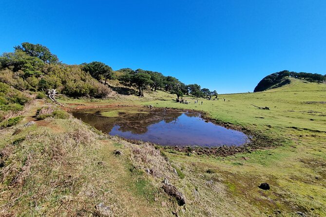 5 Hours Private tour To Porto Moniz, Rock pools, waterfalls - A short pause in Porto Moniz