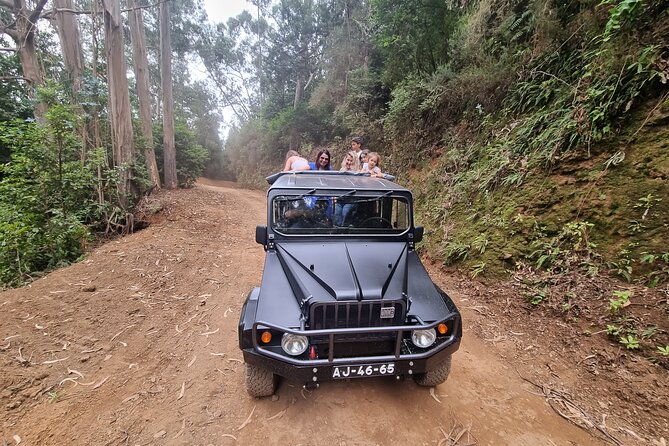 5 Hours Private tour To Porto Moniz, Rock pools, waterfalls - São Vicente and the Agua D’Alto waterfall