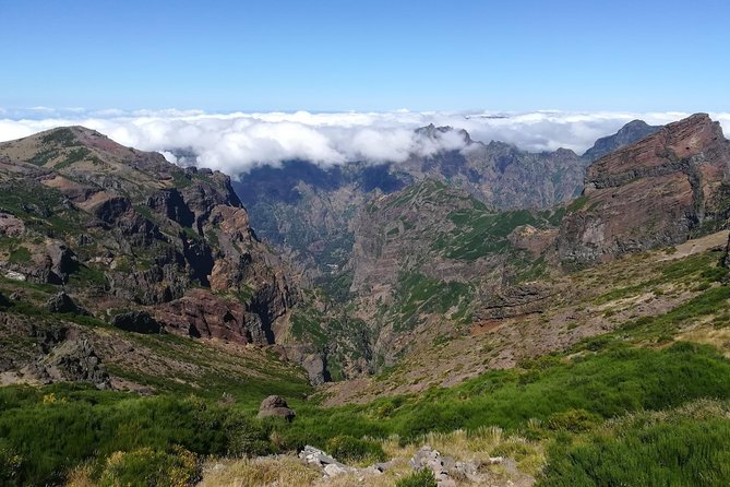 Achadas Teixeira- Pico Ruivo -& Pico pedras/Queimadas forest walk - Guides who shape the day