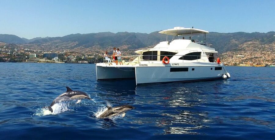 All Inclusive Whale and Dolphin Watching Luxury Tour - Funchal Marina to the open Atlantic