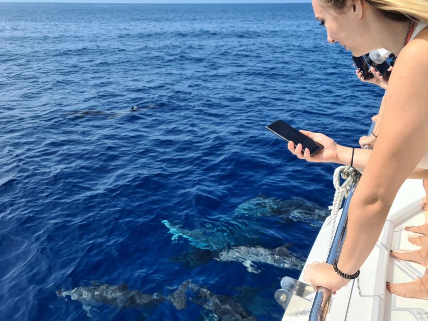 All Inclusive Whale and Dolphin Watching Luxury Tour - Swimming below Cabo Girão