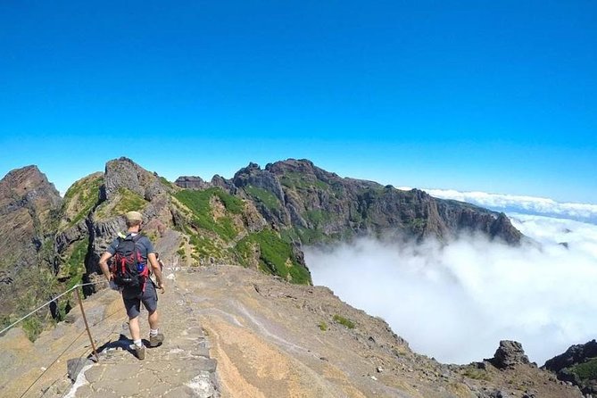 All Madeira In 2 Days Tour - Guides, vehicles, and the feel of the group