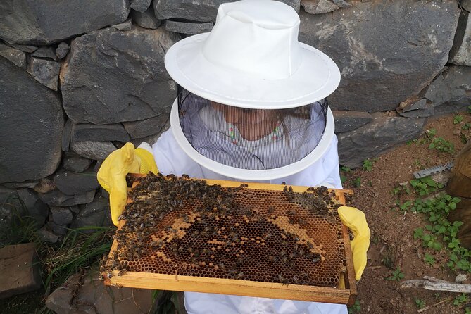 Amazing experience with Bees, honey and Pollen in Madeira Island - The chance to see young bees being born
