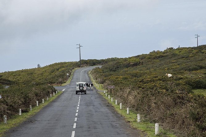 Amazing West - Jeep Safari Tour - Full Day - Shared Tour - The off-road ride through Laurissilva