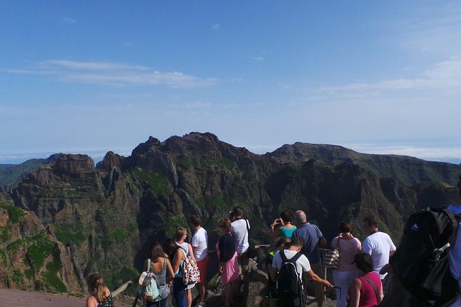 Arieiro Peak and Cristo Rei 4x4 Experience + Dolphins Watching - What the private format adds