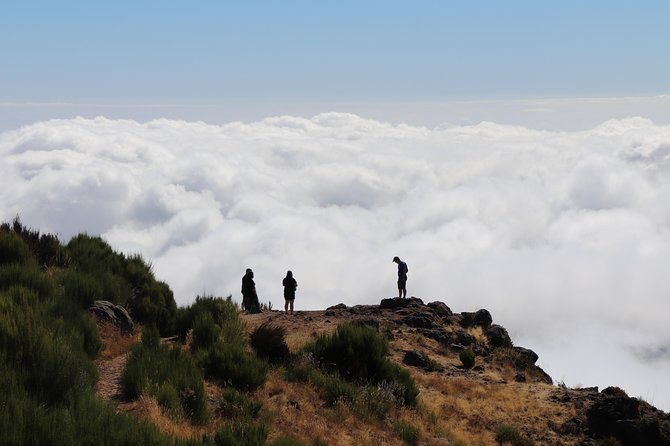 Arieiro Peak, Santo Serra, Cristo Rei in Open Roof 4x4 Experience - The guide can shape the whole experience