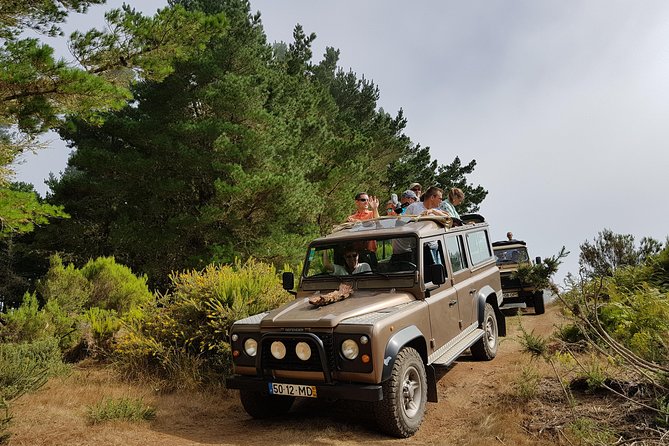 Arieiro Peak, Santo Serra, Cristo Rei in Open Roof 4x4 Experience - Reaching Pico do Arieiro at 1,818 meters