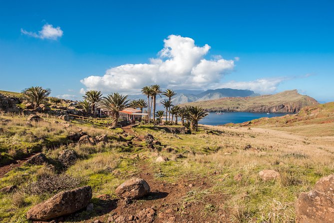 Basic Tour 1 - Cais do Sardinha to Quinta do Lorde (one way) - Who will get the most from this experience
