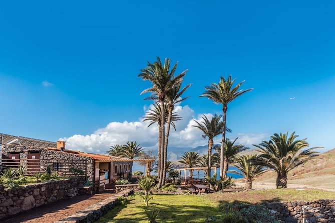 Basic Tour 1 - Cais do Sardinha to Quinta do Lorde (one way) - Starting at Cafetaria Sardine House and Cais do Sardinha