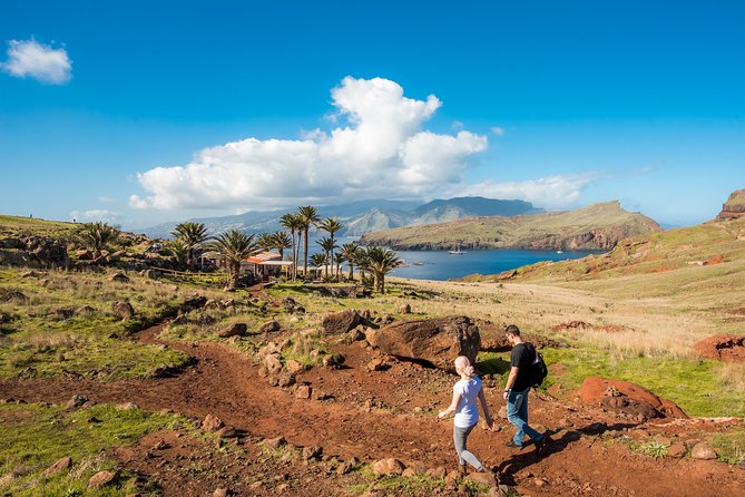 Basic Tour 1 - Shuttle (Quinta do Lorde to Cais do Sardinha) (one way) - Combining the Shuttle With a Walk