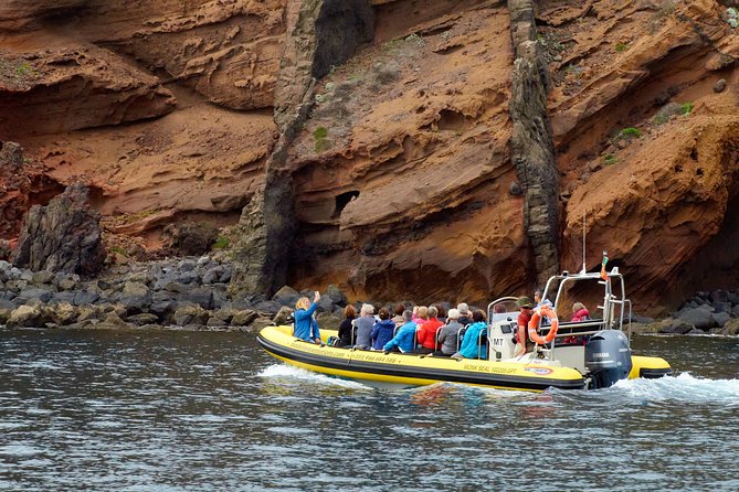 Basic Tour 2 - Quinta do Lorde to Cais do Sardinha and return - Wildlife expectations and realistic planning