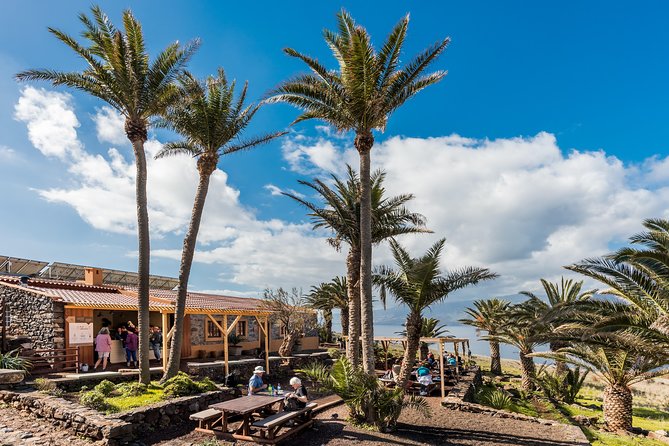 Basic Tour 2 - Quinta do Lorde to Cais do Sardinha and return - Booking, weather, and cancellation details