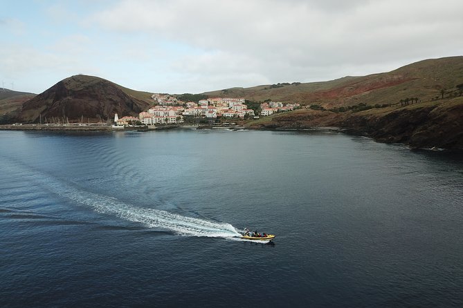 Basic Tour 2 - Quinta do Lorde to Cais do Sardinha and return - Cais do Sardinha, the heart of the experience