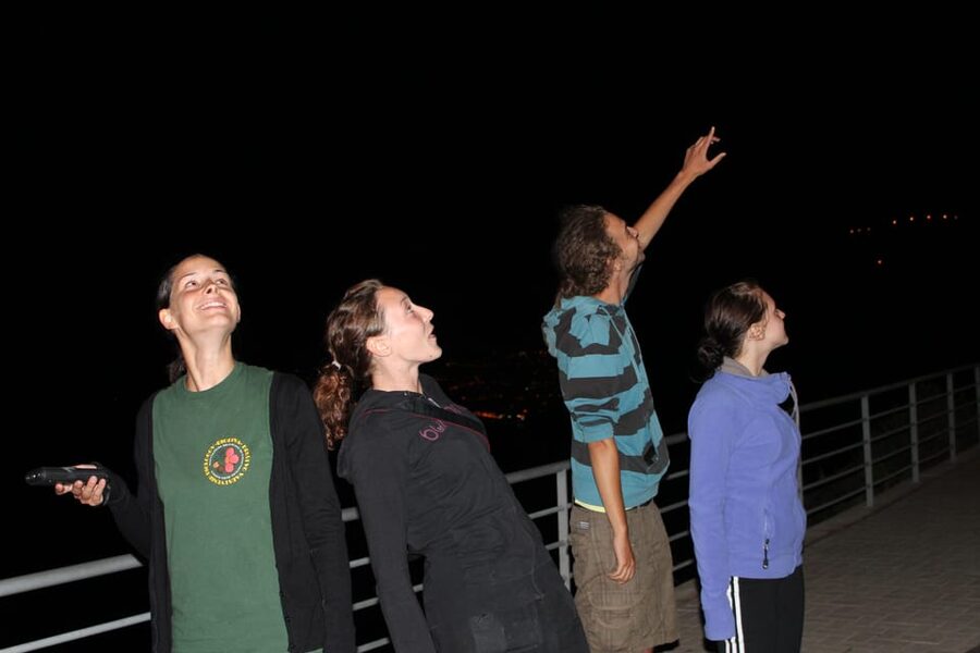 Bat Watching Madeira - What the guide explains about Madeira’s bats