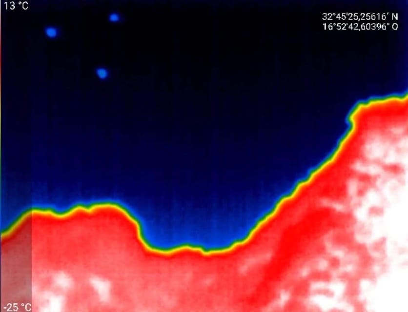 Bat Watching Madeira - The conservation angle