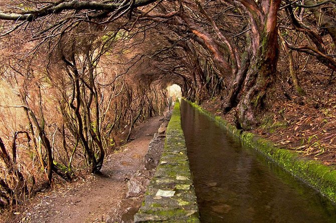 Beautiful walks in Rabaçal, Madeira - Why Rabaçal is one of Madeira’s best walking days