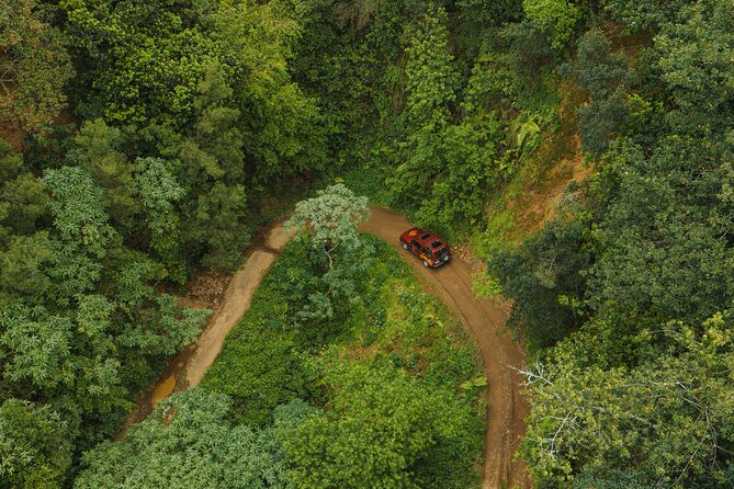 Bespoke adventure in Madeira with pick-up - Coastlines, cliffs, pools, and skywalks