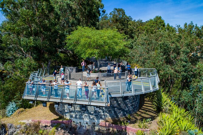 Bestselling Wine Tour, Tasting Experience & Skywalk 4x4 Adventure - Why this 4x4 wine trip works
