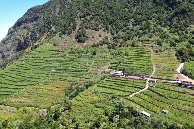 Bestselling Wine Tour, Tasting Experience & Skywalk 4x4 Adventure - Câmara de Lobos, Quinta Grande, and the coastal villages