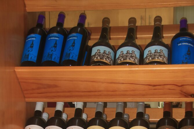 Bestselling Wine Tour, Tasting Experience & Skywalk 4x4 Adventure - Serra de Água and the mountain route