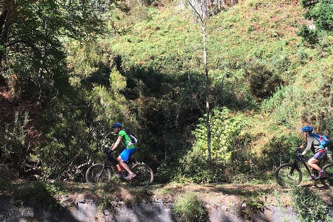 Botanical Trails of Madeira. Mountain biking Trail Experience - From Poiso at 1,400 meters to Madeira’s forest trails