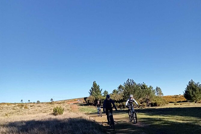 Botanical Trails of Madeira. Mountain biking Trail Experience - Why the Camacha stop improves the pace