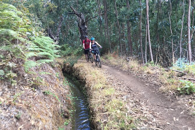 Botanical Trails of Madeira. Mountain biking Trail Experience - How the guide shapes the day