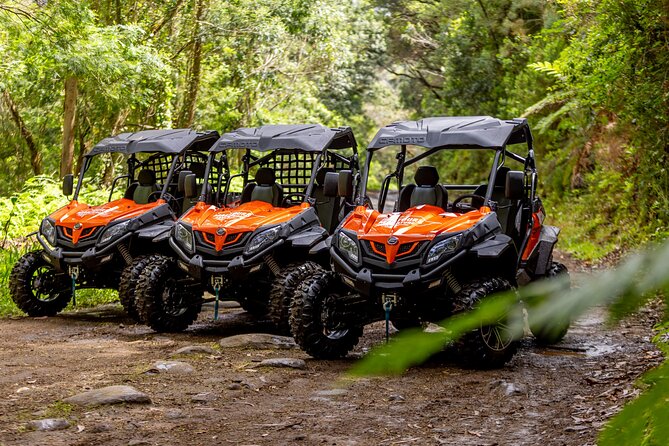 Buggy Adventure in Madeira off Road - The buggy, protective gear, and the first burst of mud