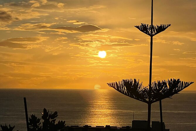 CABO GIRÃO (Half Day tour/3h) / Private Classic Car (4L). - The west coast road, where Madeira feels local