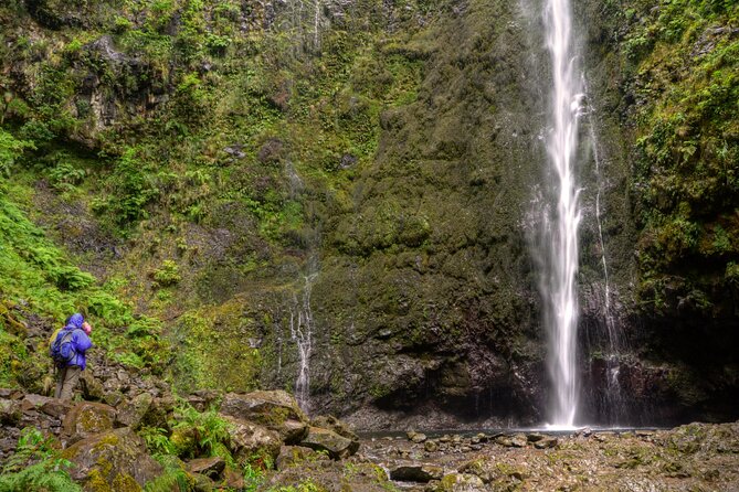 Caldeirão Verde Levada (PR 9) - Guided Madeira Levada Walk - Queimadas Forest Park and the Fairytale Start