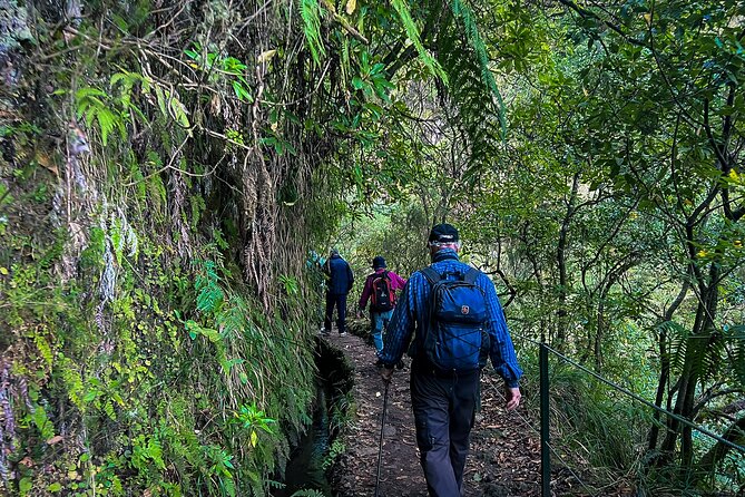 Caldeirão Verde Levada (PR 9) - Guided Madeira Levada Walk - Caldeirão Verde Waterfall and the Emerald Lagoon