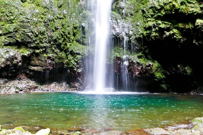 Caldeirão Verde Levada (PR 9) - Guided Madeira Levada Walk - The Return Walk Can Shape Your Whole Day