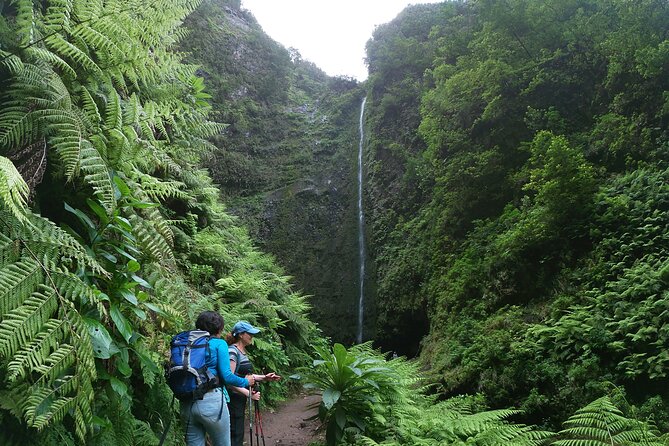 Caldeirão Verde Levada (PR 9) - Guided Madeira Levada Walk - How Much Value You Get for $55.12