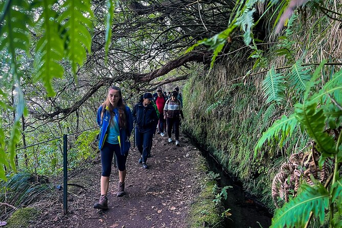 Caldeirão Verde Levada (PR 9) - Guided Madeira Levada Walk - Who Should Book This Walk