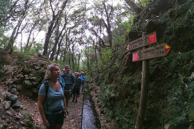 Caldeirão Verde Levada (PR 9) - Guided Madeira Levada Walk - Four to Five Hours Through Laurissilva Forest